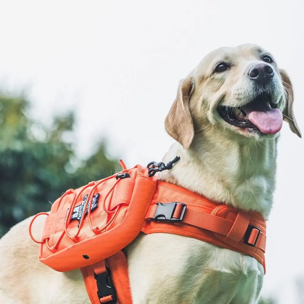 New Nylon Dog Backpack with Side Pockets Dog Hiking Gear Dog Harness Adjustable Dog Vest Hiking Walking Training Running